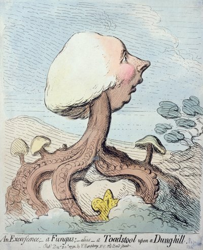 Bir Fazlalık; Bir Mantar; Takma ad - 1791