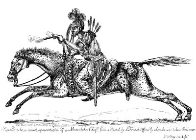 Memluk şefi, 1798. by James Gillray