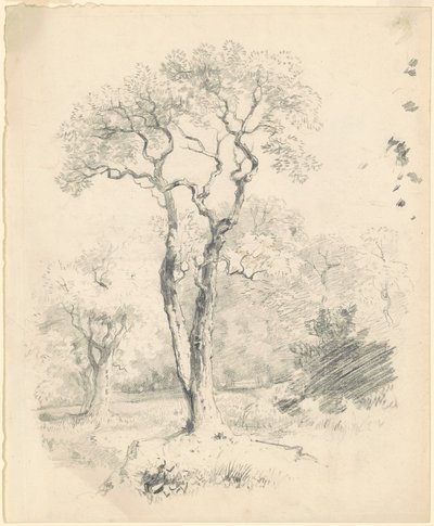 Ağaçların Kayışı by James Goodwyn Clonney