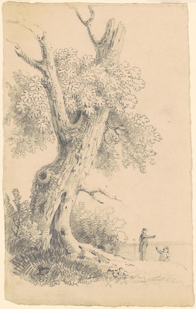 Sahile Yakın Ağaç by James Goodwyn Clonney