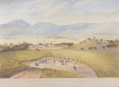 Llanrumny Malikanesi, St. Mary's, Jamaika by James Hakewill