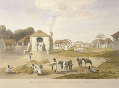 Mill Yard, Holland Estate, Doğuda St. Thomas by James Hakewill