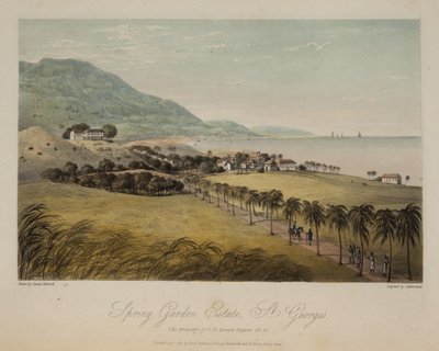 Spring Garden Estate, St. George's by James Hakewill