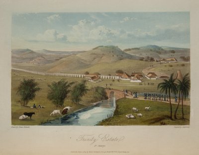 Trinity Estate. Mary