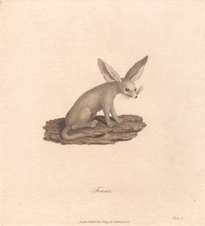 rezene by James Heath