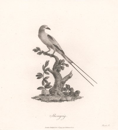 Şeregrig by James Heath