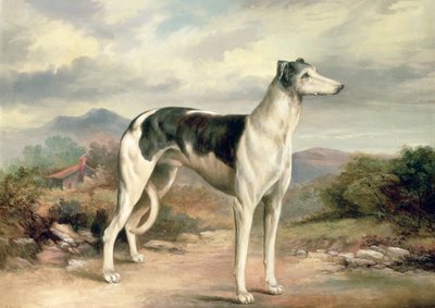 Tepelik bir manzarada bir Tazı by James Henry Beard