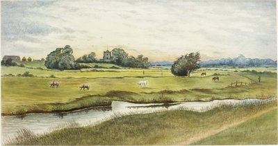 Ryton Meadows (kağıt üzerine suluboya ve gövde rengi) by James Henry Cleet