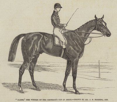 Ascot