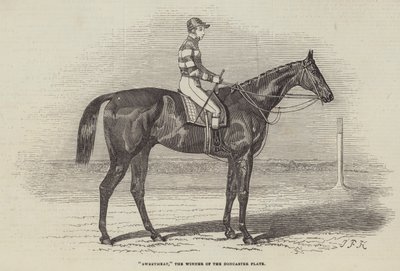 Sweetmeat, Doncaster Plakasının Kazananı by James Herring