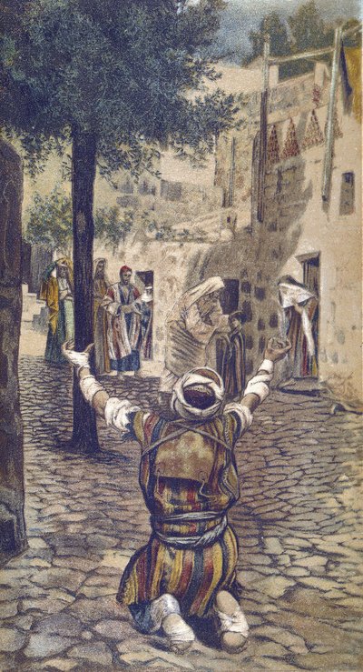 La guerison des lepers à Capharnaum - Capernaum