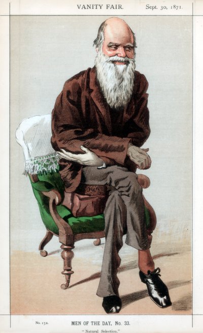 Doğal Seleksiyon, 1871. by James Jacques Joseph Tissot