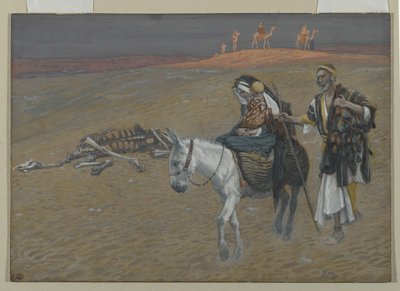 Mısır