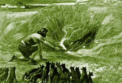 Samson ve tilkiler J James Tissot - İncil by James Jacques Joseph after Tissot
