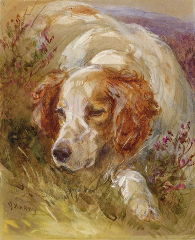 Bir Spaniel (kağıt üzerinde tuvalet ve gövde rengi) by James Jnr Hardy