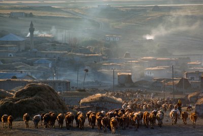  by James L Stanfield