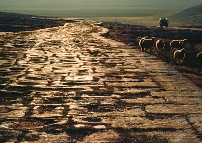  by James L Stanfield