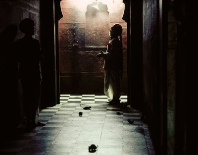 Hindistan, Rajasthan, Deshnoke
