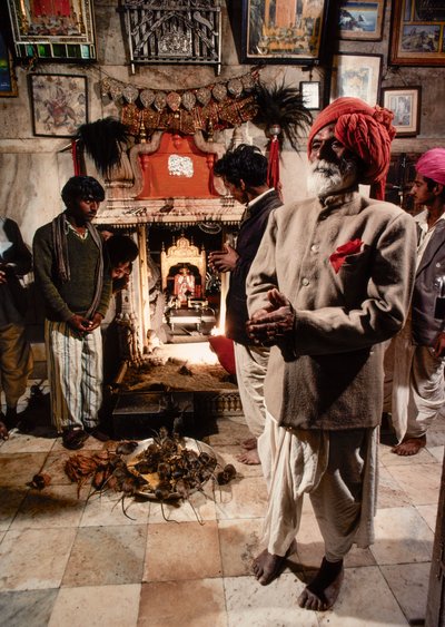 Hindistan, Rajasthan, Deshnoke