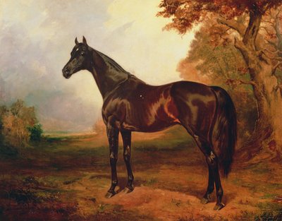 Aziz Simon, 1906 by James Lynwood Palmer