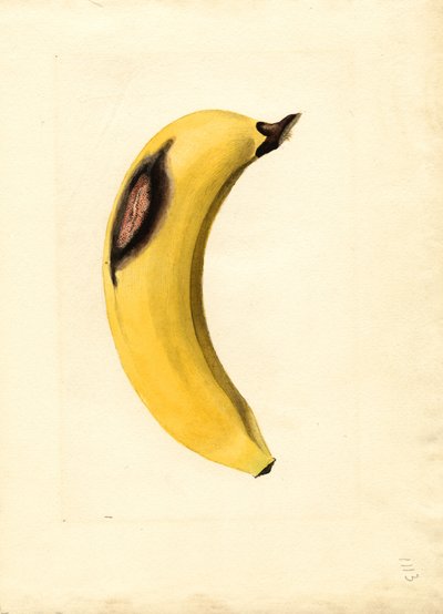  by James Marion Shull