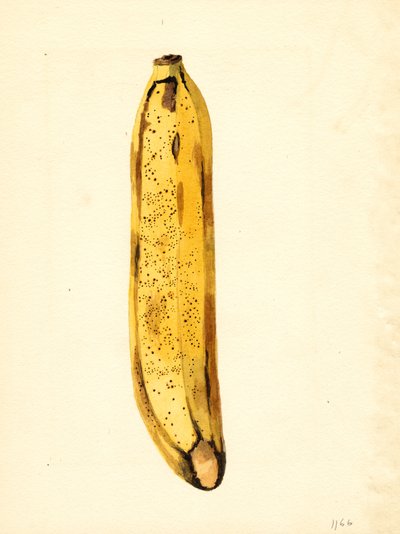  by James Marion Shull