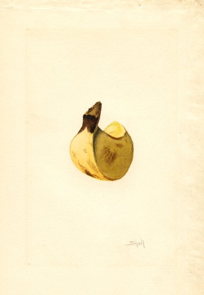  by James Marion Shull