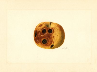  by James Marion Shull