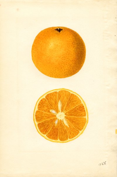  by James Marion Shull