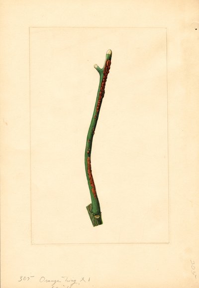  by James Marion Shull