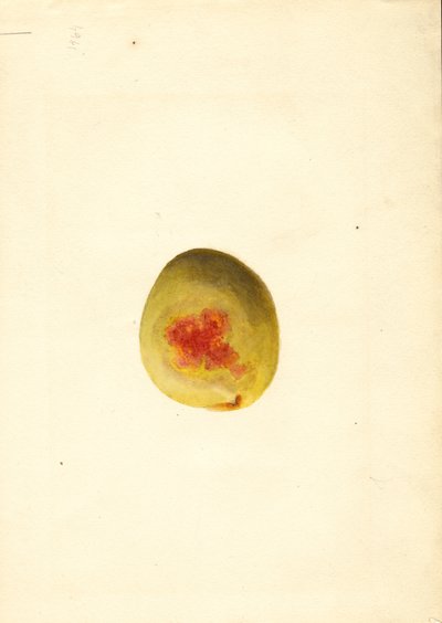  by James Marion Shull