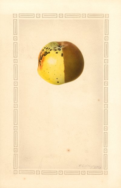  by James Marion Shull