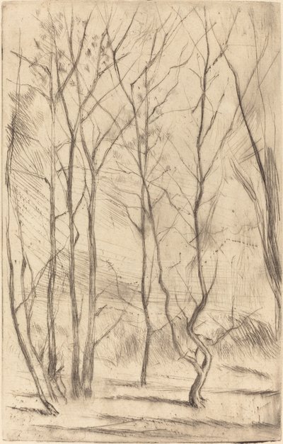 Baraj Ağacı by James Abbott McNeill Whistler