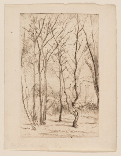 Baraj Ağacı by James Abbott McNeill Whistler