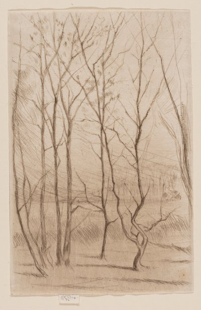 Baraj Ağacı by James Abbott McNeill Whistler