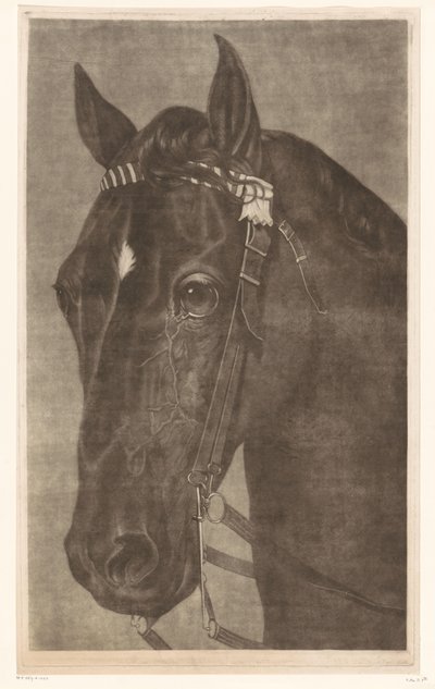 Bir dizgin ile bir atın başı by James Newman Hodges
