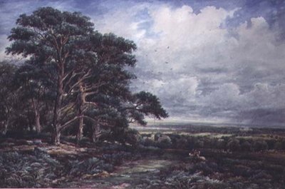 Leicester yakınlarındaki Bradgate Parkı, suluboya by James Orrock