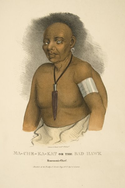 Mama-ch-ka-cut ve kötü şahin by James Otto Lewis
