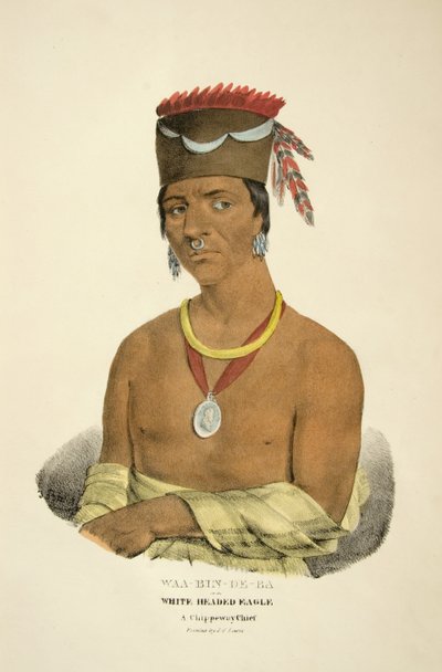 Waa-bin-de-ba veya Ak Başlı Kartal by James Otto Lewis