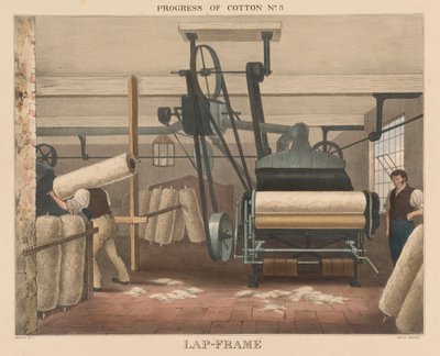 Pamuğun ilerlemesi, # 3: Lap-frame by James Richard Barfoot