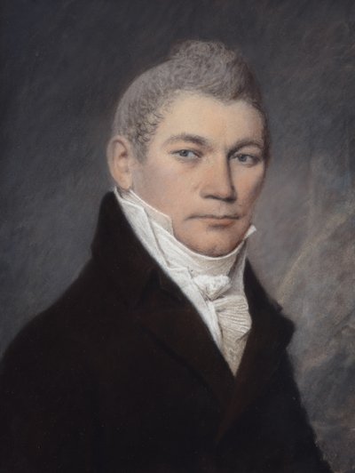 Bay Brown of Philadelphia (gri kağıt üzerine pastel) by James Sharples