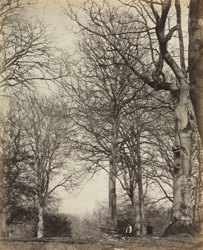 Kraliçe Adelaide'nin Kayını by James Sinclair, 14th Earl of Caithness