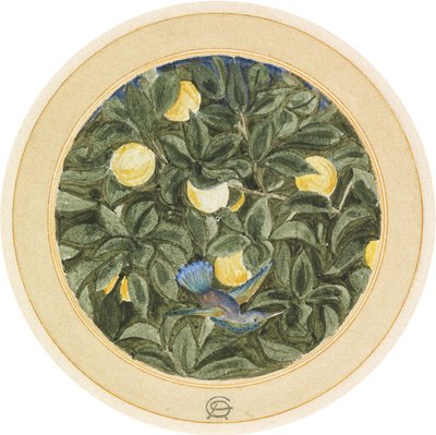 sinek kuşu by James Smetham