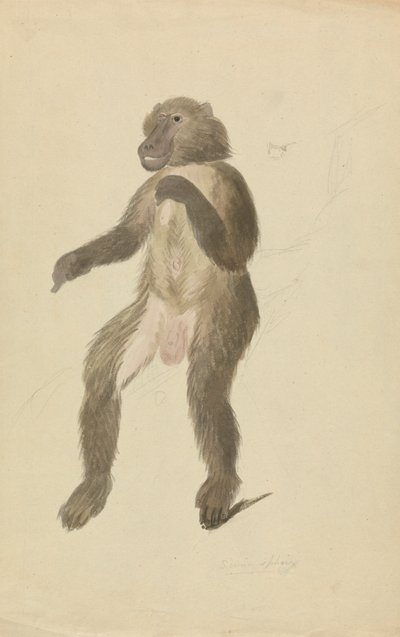 bir mandrel by James Sowerby