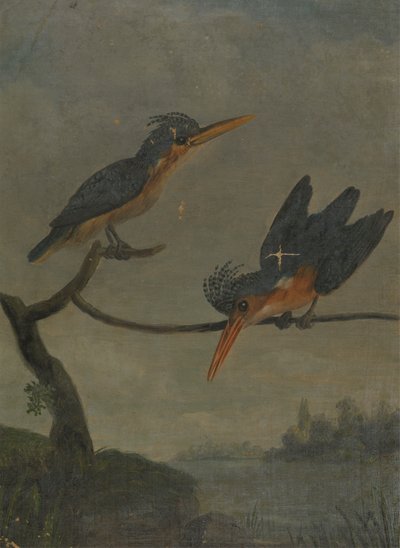 Gölün Yanında İki Yalıçapkını by James Sowerby