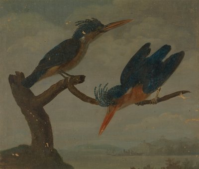 Bir Gölün Yanında İki Yalıçapkını by James Sowerby