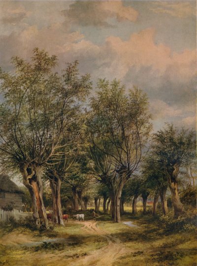 Norwich yakınlarındaki bir şerit, c1837 by James Stark