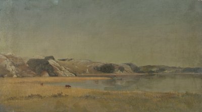 Manzara (tuval üzerine yağlı boya) by James Suydam