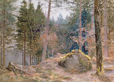 Galli bir ormanda, kış by James Thomas Watts