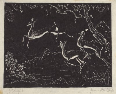Uçuş (tahta baskı) by James W. Reid